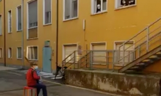 Cụ ông 81 tuổi chơi đàn dưới sân bệnh viện tiễn biệt người vợ sắp qua đời