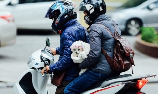 Miền Bắc chuẩn bị đón đợt rét đậm rét hại mạnh nhất mùa Đông 2020