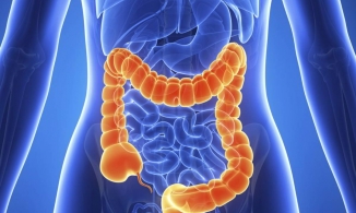 Ngứa điểm này trên cơ thể là dấu hiệu cảnh báo ung thư có thể ghé thăm