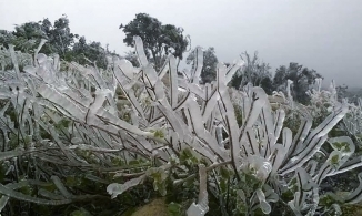 Không khí lạnh kết hợp với mưa khiến băng giá phủ trắng đỉnh Yên Tử