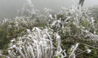 Thời tiết ngày 12/1: Hà Nội nhiệt độ tăng, trưa chiều giảm mây trời có nắng