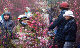 Thời tiết Tết Nguyên đán 2021 ra sao, có xảy ra mưa đá như năm ngoái?