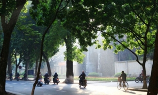 Thời tiết 15/2: Miền Bắc ngày tiếp tục nắng ấm, sáng sớm có sương mù