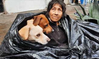 Nhất quyết sống 8 năm trong túi rác cụ bà vẫn không chịu đến nơi ở mới vì lý do khiến ai nghe cũng rơi nước mắt