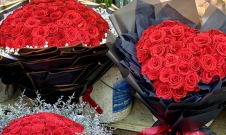 Ngày Quốc tế Hạnh phúc 20/3 bắt nguồn từ đâu và có ý nghĩa gì?