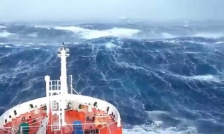 Năm nay bão hình thành ở Đông Thái Bình Dương sớm kỷ lục 