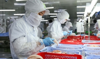 Trong thời gian Covid-19, 4 vấn đề về tiền lương người lao động cần biết 