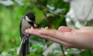 Điều phải kiêng kị trong ngày đầu tháng 5 Âm lịch để cả tháng may mắn