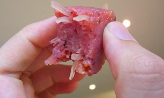 Khoa học thế giới giải được bài toán hóc búa nhờ món nem chua của Việt Nam