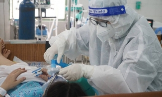 Bộ y tế chính thức lên tiếng về việc dùng địa long chữa Covid-19