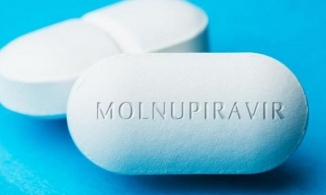 Thuốc Molnupiravir là gì, hiệu quả trong việc điều trị Covid-19 ra sao?