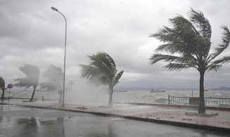 Bão số 8 tiến gần Hoàng Sa, hướng vào miền Trung