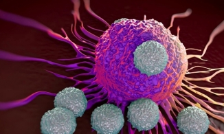 Vì sao có những người không mắc Covid-19 dù tiếp xúc gần với F0?