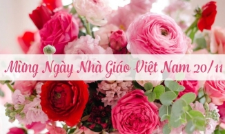 Những bài thơ hay về ngày Nhà giáo Việt Nam 20/11