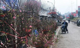 Thời tiết dịp Tết Dương lịch 2022 cho các vùng trên cả nước