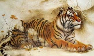 Năm 2022 là năm con gì?