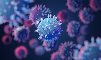 Xuất hiện phiên bản mới 'tàng hình' của Omicron: biến chủng BA.2