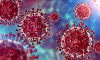 Những biểu hiện lạ của Omicron so với các biến thể khác: Không mất khứu giác mà đau lưng, đổ mồ hôi 