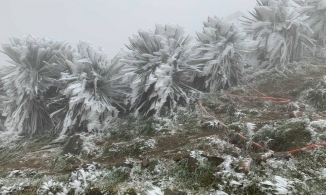 Khu vực miền Bắc chìm trong rét hại, Mẫu Sơn băng giá dày đặc
