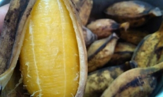 Trước mỗi bữa cơm ăn 1 quả chuối luộc, mỡ bụng không còn, da lại sáng lên