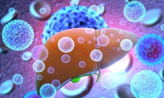 TS Nguyễn Thu Anh nhận định khả năng bệnh viêm gan bí ẩn vào Việt Nam là rất cao