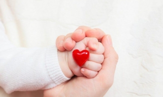 Muốn biết trẻ có IQ cao, thông minh hơn người hay không, chỉ cần nhìn bàn tay là rõ