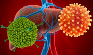 CDC Hoa Kỳ thông tin bất ngờ về thời gian xuất hiện của dịch viêm gan 'bí ẩn'