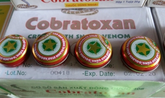 Huyền thoại cao Sao Vàng: Mất thị phần nội địa và sức hút lạ kỳ ở trời Tây