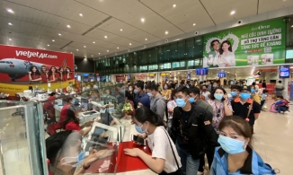 Có một cái Tết 'lạ kỳ' khi vé máy bay siêu rẻ, đào quất bị ngó lơ