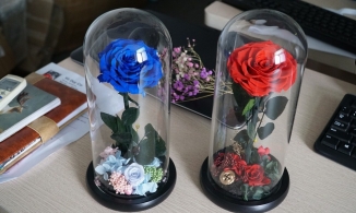 Hoa hồng xanh giá từ 2 đến gần 4 triệu cháy hàng dịp lễ Valentine 