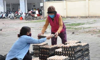 Hải Dương, Hưng Yên: Trứng gà rẻ như cho, 14 ngàn/chục vẫn không ai mua