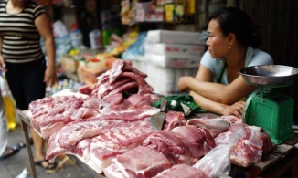 Giá thịt lợn 13/3: Giá giao dịch ổn định ở cả 3 miền