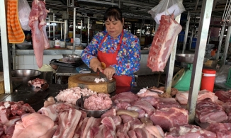 Giá thịt lợn hôm nay 5/4: Không có nhiều biến động, tăng giảm nhẹ ở một vài địa phương