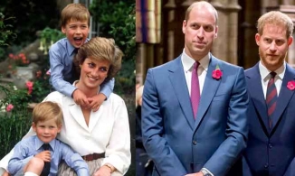 Anh em William, Harry lên án BBC có liên quan đến cái chết của Công nương Diana