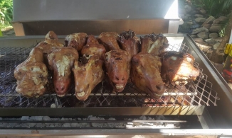 Bạn có dám thử  những món ăn 'kỳ lạ khó tả' này tại đất nước Nam Phi không?