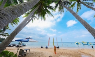 Cứ 10 doanh nghiệp thì có 9 đang dừng hoạt động, ngành du lịch rơi vào tình trạng 'kiệt quệ'