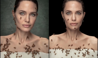 Angelina Jolie chụp hình cùng ong mật mà không cần mặc đồ bảo hộ