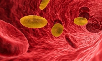 Kỳ lạ nhóm máu hiểm cả thế giới chỉ 43 người có