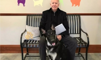 Ông Joe Biden bất ngờ chấn thương do trượt ngã khi chơi với thú cưng