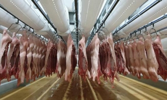 Bộ Y tế yêu cầu kiểm soát thực phẩm đông lạnh vì có SARS-CoV-2 trên bao bì 