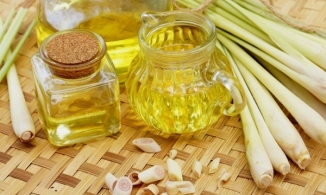 Chỉ với 5000 đồng, đuổi mọi côn trùng ra khỏi nhà mà không cần hóa chất 