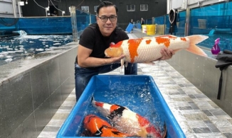 'Vua cá Koi' Thắng Ngô là ai? Đại gia sở hữu trại cá hàng top, từng gây sốt tại 'Siêu trí tuệ'