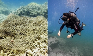 Nha Trang tạm dừng hoạt động du lịch lặn biển 