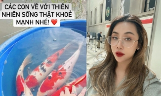 Nhà văn Gào làm dậy sóng MXH khi phóng sinh cá Koi xuống sông