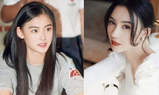 Trương Bá Chi là ai? 'Ngọc nữ' yêu hai chàng trai xuất sắc nhất điện ảnh Hong Kong thế hệ 8x