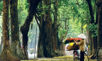 Du lịch Hà Nội đi đâu để có những trải nghiệm tuyệt vời trong mùa Thu