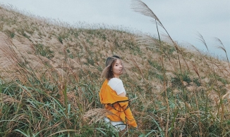 Tháng 10 đến Bình Liêu ngắm lau: Kinh nghiệm du lịch tự túc từ A đến Z