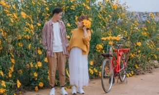 Định vị những cung đường săn hoa dã quỳ đẹp nhất Đà Lạt