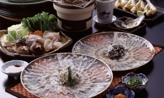 Vì sao người Nhật bỏ nghìn đô để thưởng thức loại cá nóc độc nhất thế giới?