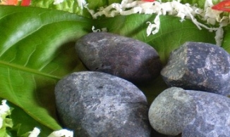 Sỏi mầm Hậu Giang, đặc sản nhất định phải thử khi về miền Tây sông nước